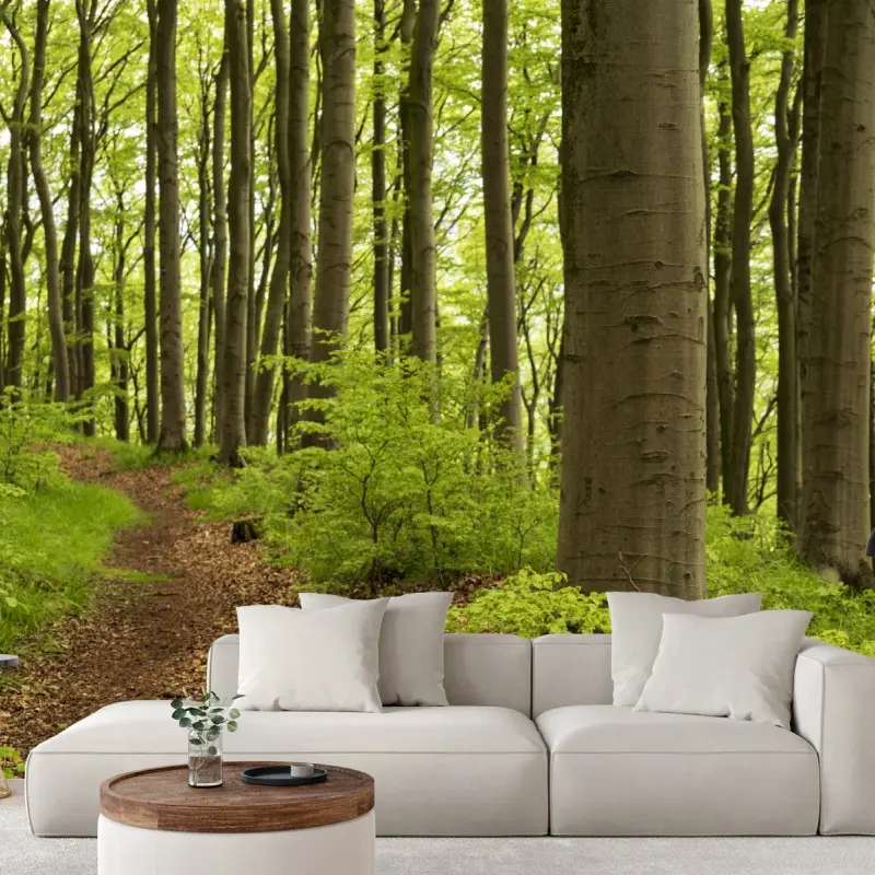 Fototapete ruhiger grüner waldweg
