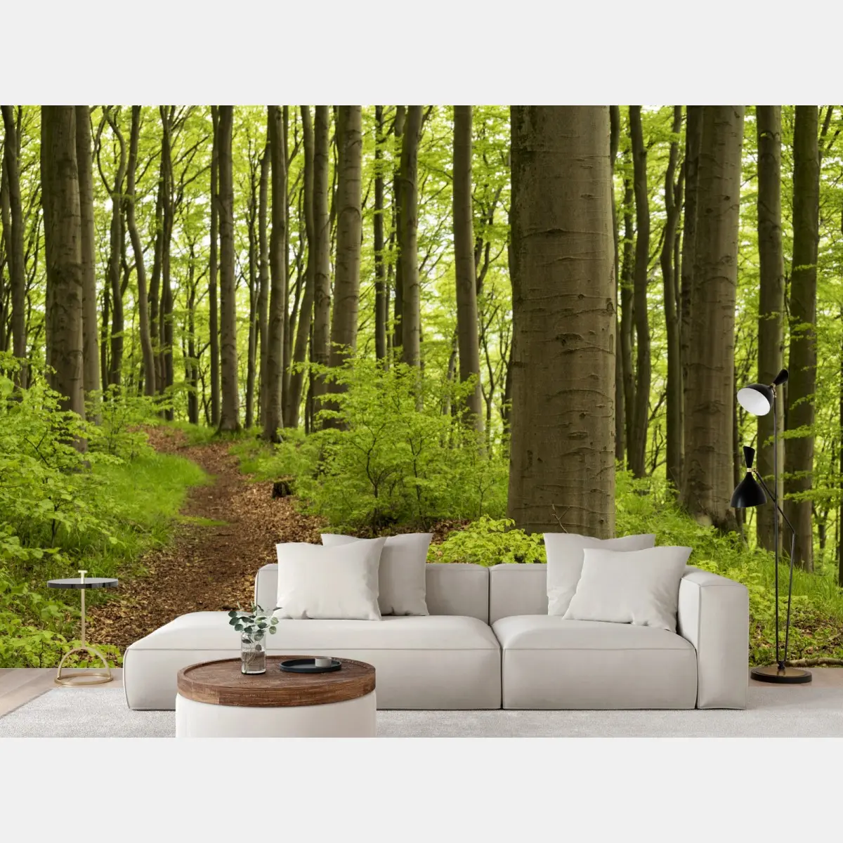 Fototapete ruhiger grüner waldweg – Pixers®