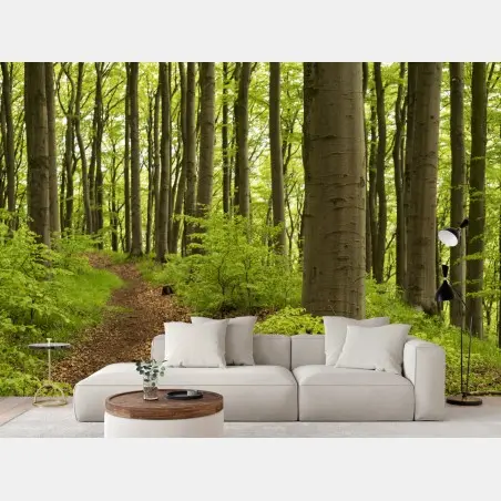 Fototapete ruhiger grüner waldweg – Pixers®