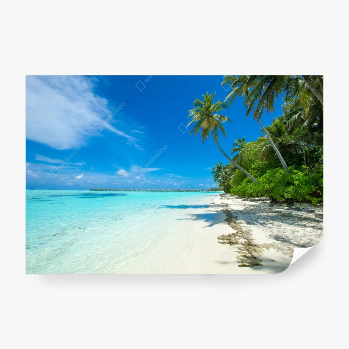 Fototapete tropischer strand auf den Malediven – Pixers®