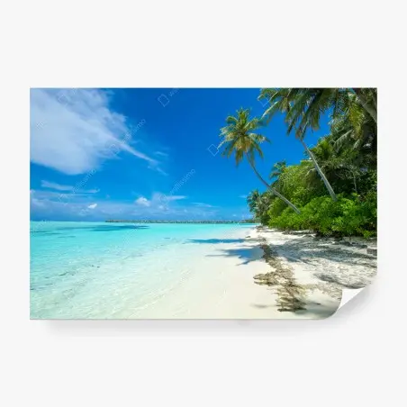Fototapete tropischer strand auf den Malediven – Pixers®