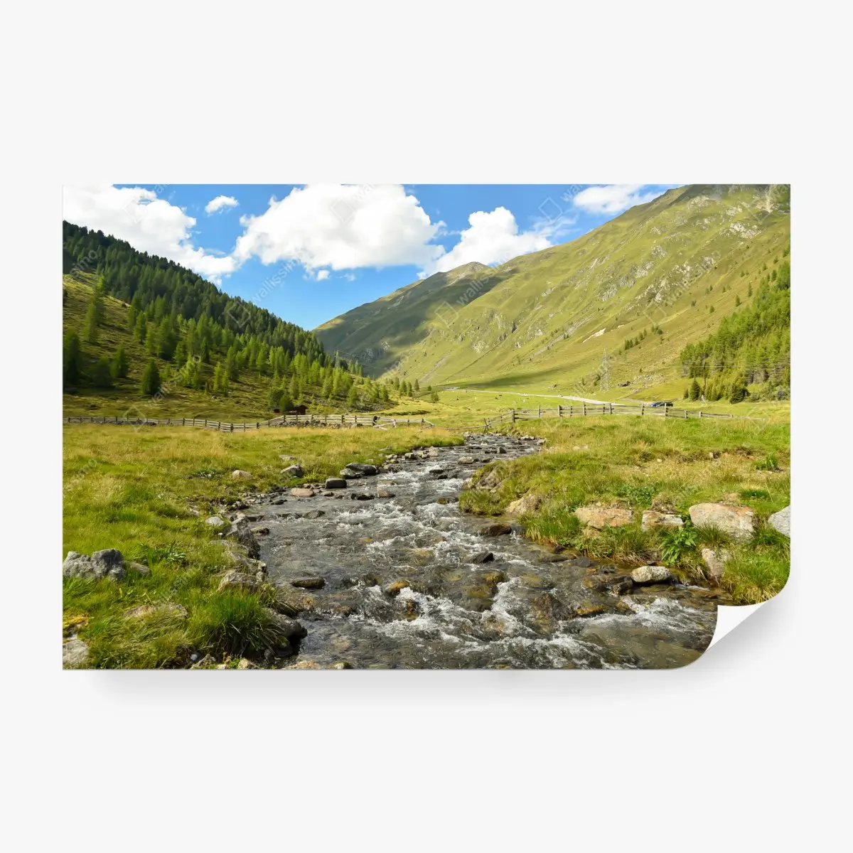 Fototapete alpenbach im sonnigen tal – Pixers®