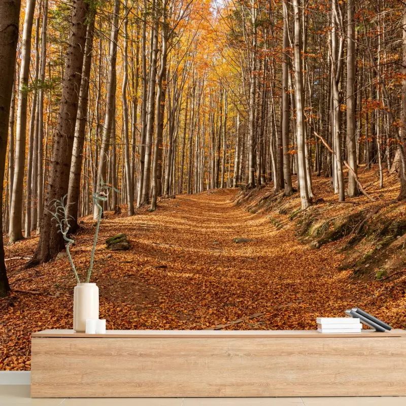Fototapete herbstlicher waldweg mit goldenen blättern