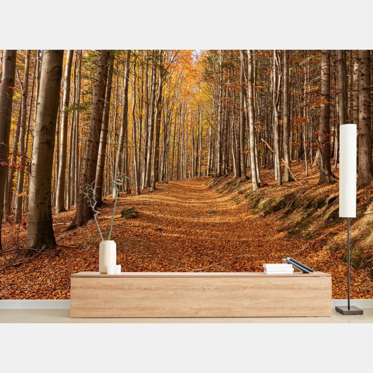 Fototapete herbstlicher waldweg mit goldenen blättern – Pixers®