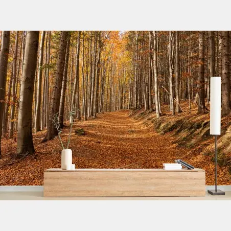 Fototapete herbstlicher waldweg mit goldenen blättern – Pixers®