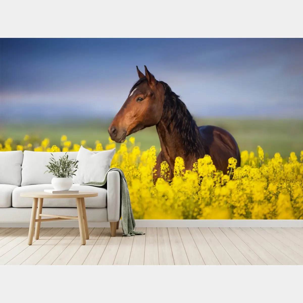 Fototapete braunes pferd im gelben rapsfeld – Pixers®