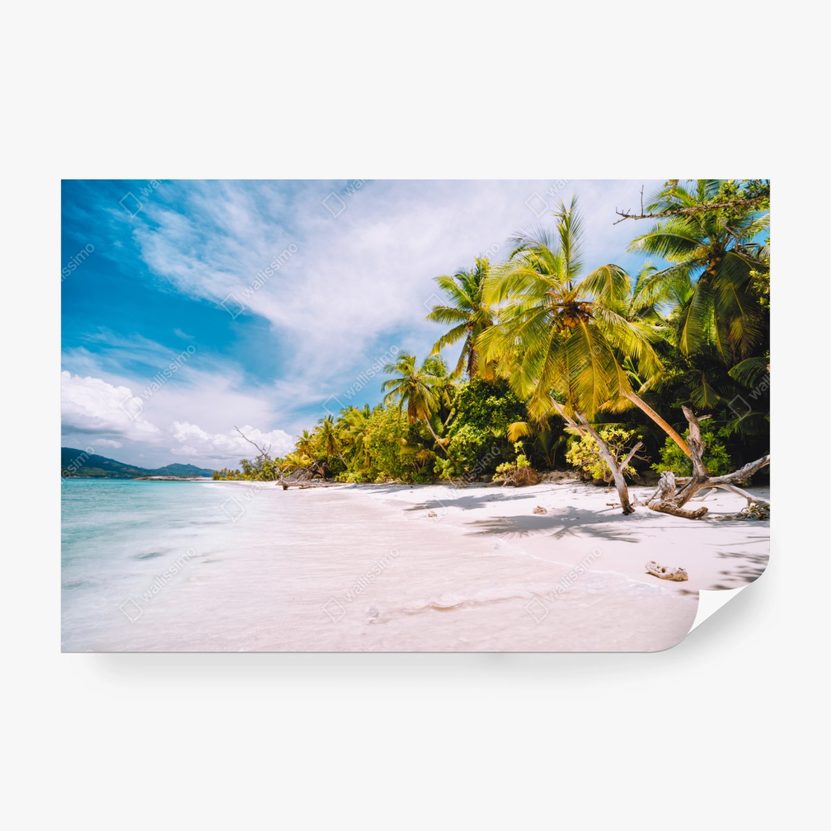 Fototapete tropischer strandidyll mit palmen – Pixers®