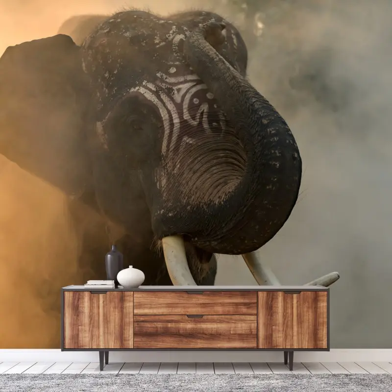 Fototapete majestätischer Thai-elefant mit stoßzähnen