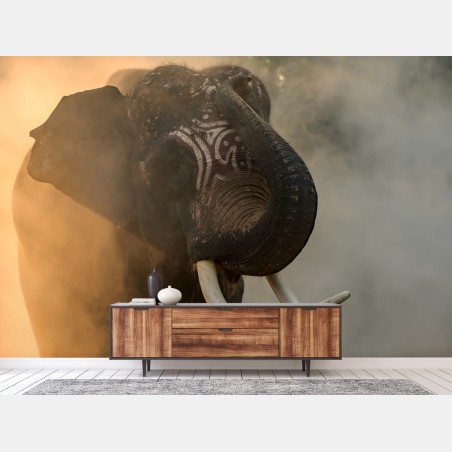 Fototapete majestätischer Thai-elefant mit stoßzähnen – Pixers®