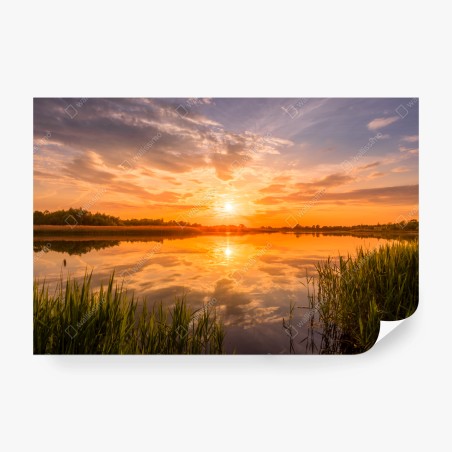 Fototapete goldener sonnenuntergang über idyllischem see – Pixers®
