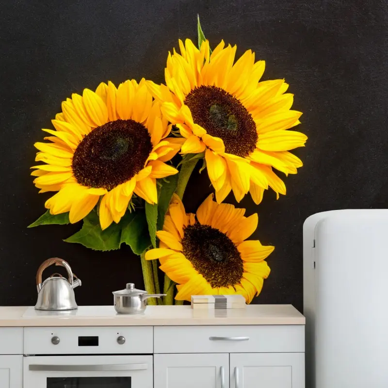Fototapete leuchtende sonnenblumen auf schwarzem hintergrund
