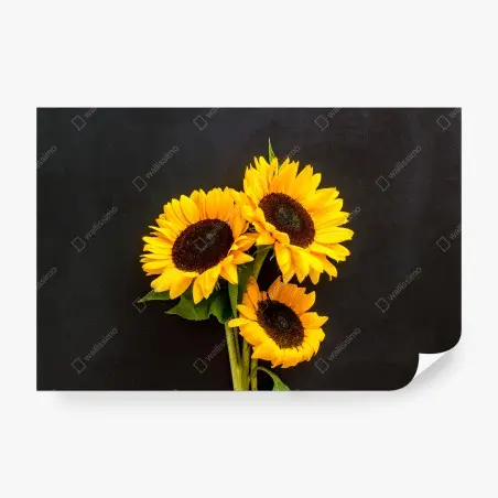 Fototapete leuchtende sonnenblumen auf schwarzem hintergrund – Pixers®