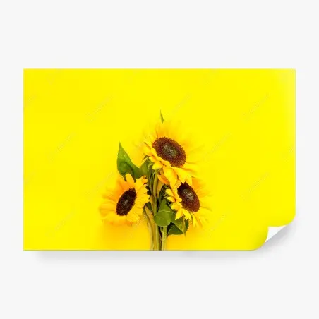 Fototapete leuchtender sonnenblumenstrauß auf gelbem hintergrund – Pixers®