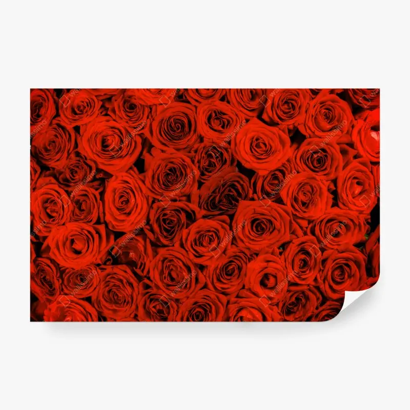 Fototapete prächtiger strauß roter rosen