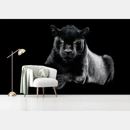 Fototapete porträt eines schwarzen panthers vor schwarzem hintergrund – Pixers®