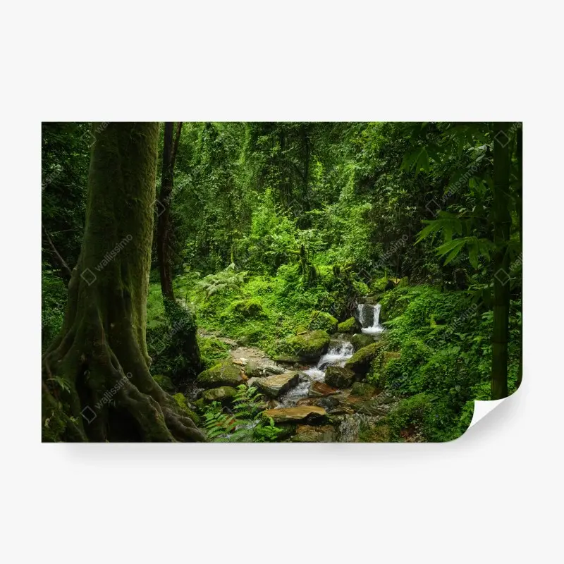 Fototapete üppiger grüner waldwasserfall