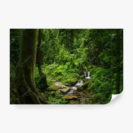 Fototapete üppiger grüner waldwasserfall – Pixers®