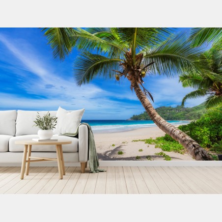 Fototapete tropischer strand mit palme – Pixers®