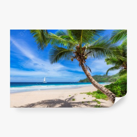 Fototapete tropischer strand mit palme – Pixers®
