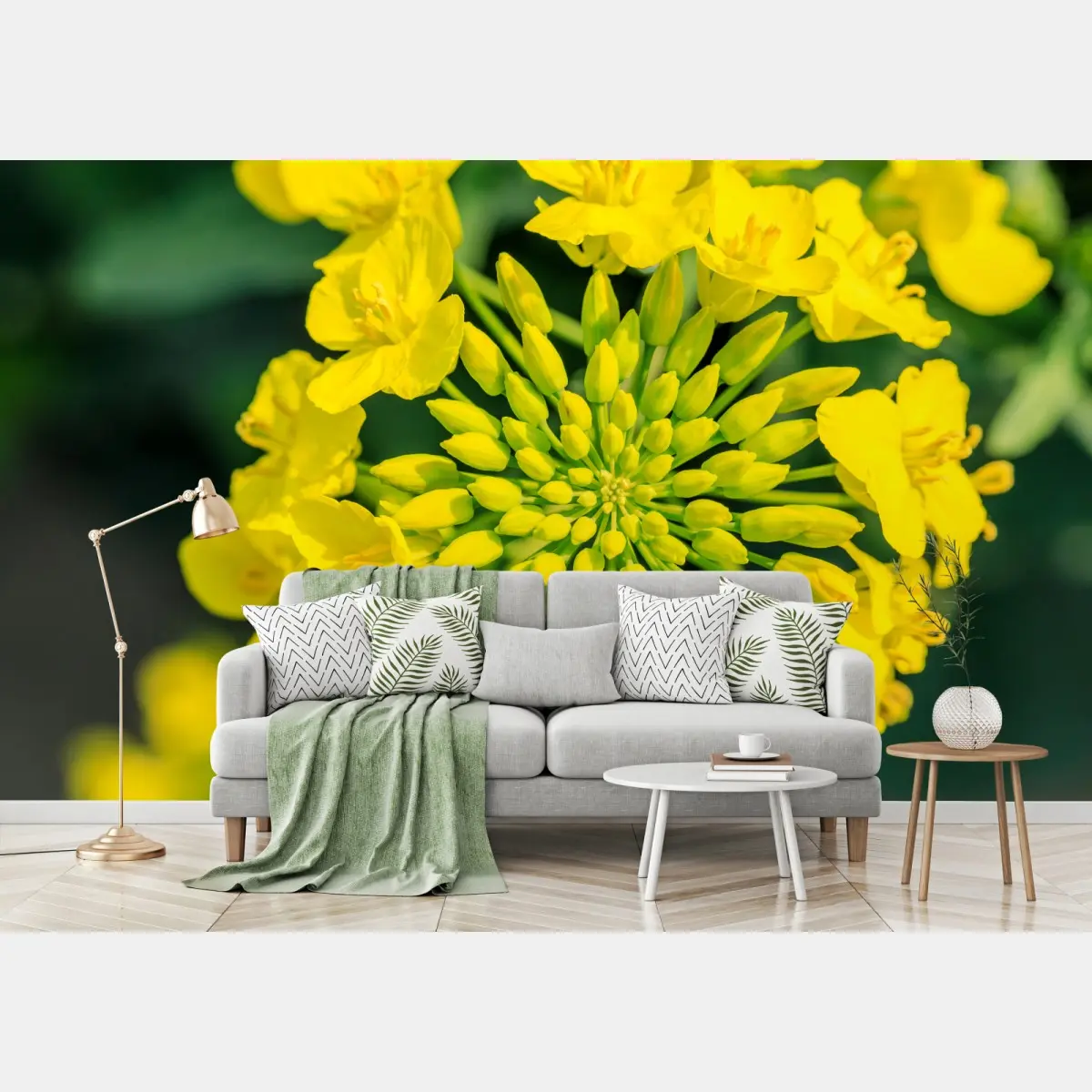 Fototapete lebhafte gelbe rapsblüte im nahen makro – Pixers®