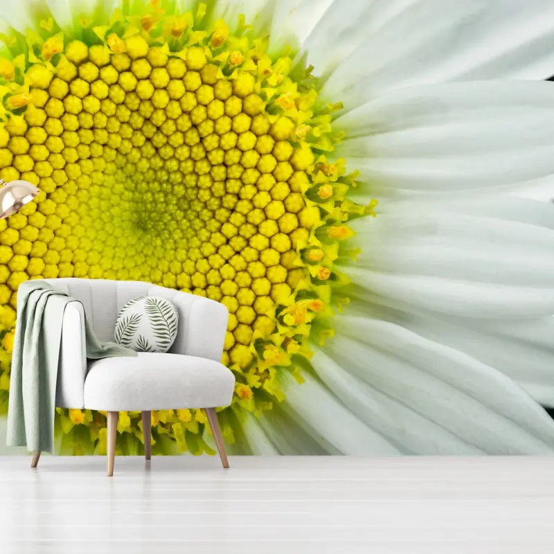 Fototapete makro gänseblümchen spiralmuster