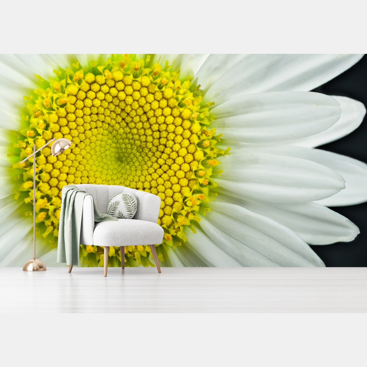 Fototapete makro gänseblümchen spiralmuster – Pixers®
