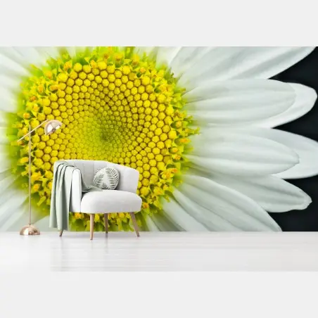 Fototapete makro gänseblümchen spiralmuster – Pixers®