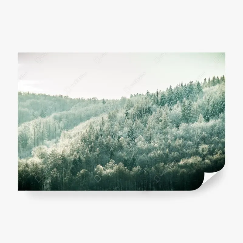 Fototapete nebliger reifbedeckter wald