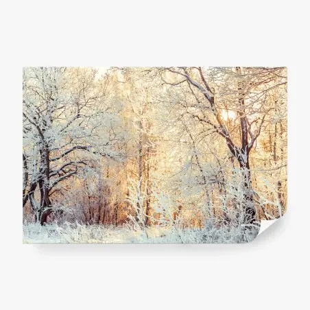 Fototapete wintersonne im verschneiten wald – Pixers®