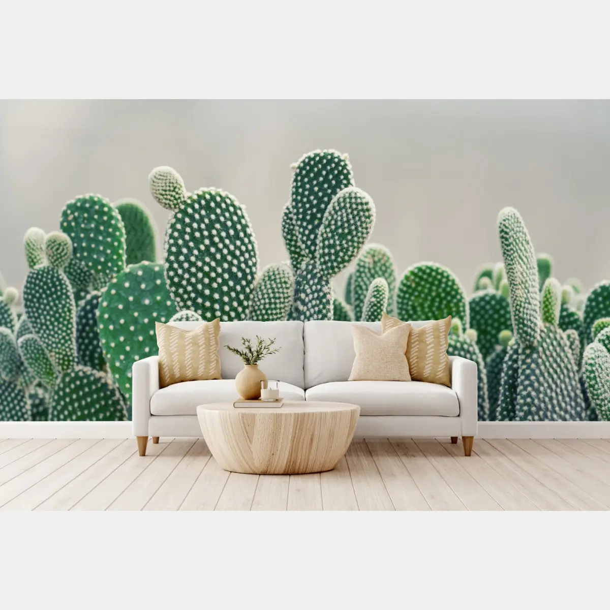 Fototapete nahaufnahme eines opuntienkaktus – Pixers®