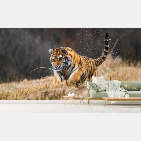 Fototapete sibirischer tiger in bewegung – Pixers®