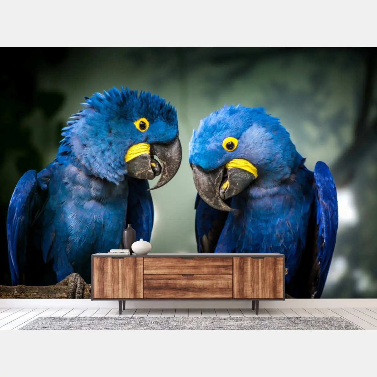 Fototapete paar blauer aras - nahaufnahme – Pixers®