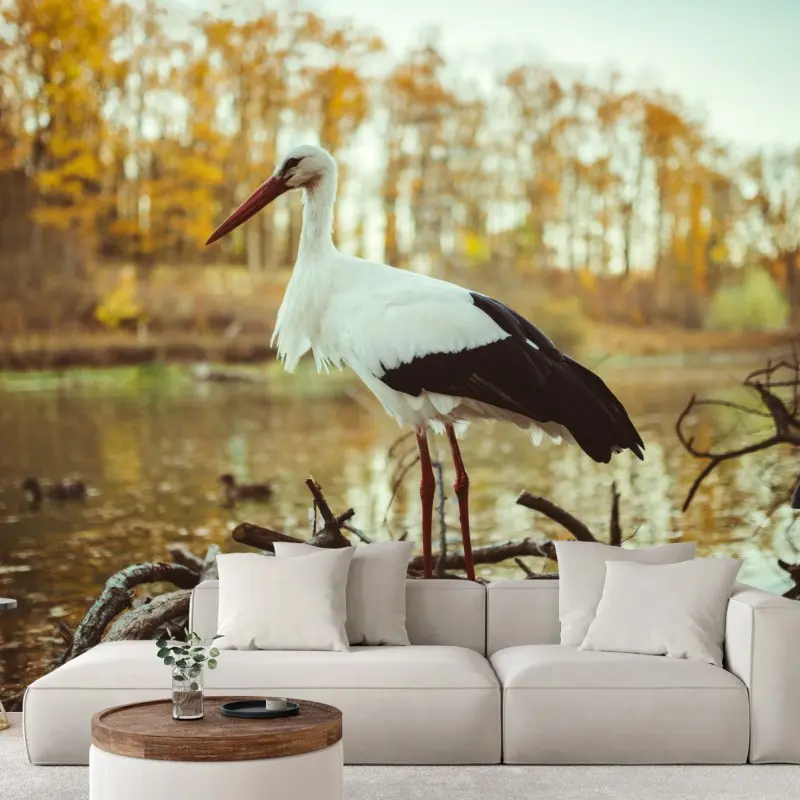 Fototapete weißer storch am herbstlichen see