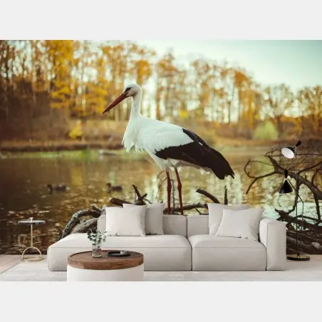 Fototapete weißer storch am herbstlichen see – Pixers®