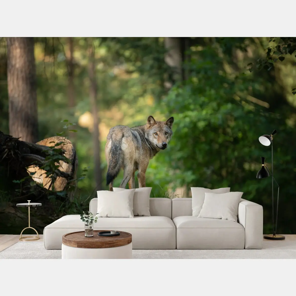 Fototapete wolf auf der lichtung im wald – Pixers®