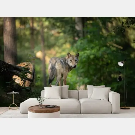 Fototapete wolf auf der lichtung im wald – Pixers®