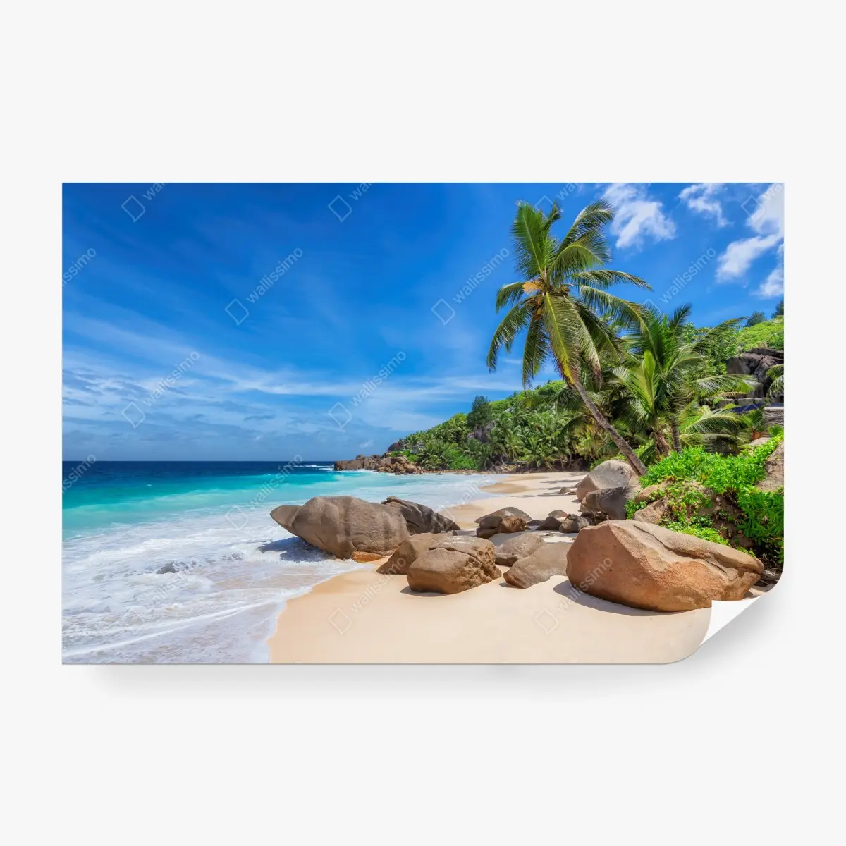 Fototapete tropischer palmenstrand – Pixers®