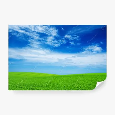 Fototapete grüne wiese unter blauem himmel – Pixers®