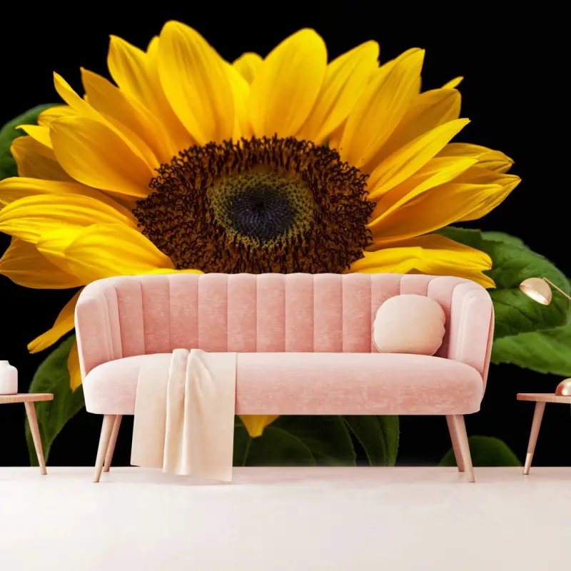 Fototapete leuchtende sonnenblume auf schwarzem hintergrund