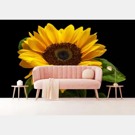 Fototapete leuchtende sonnenblume auf schwarzem hintergrund – Pixers®