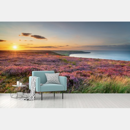 Fototapete sonnenuntergang über der heide auf den North York Moors – Pixers®