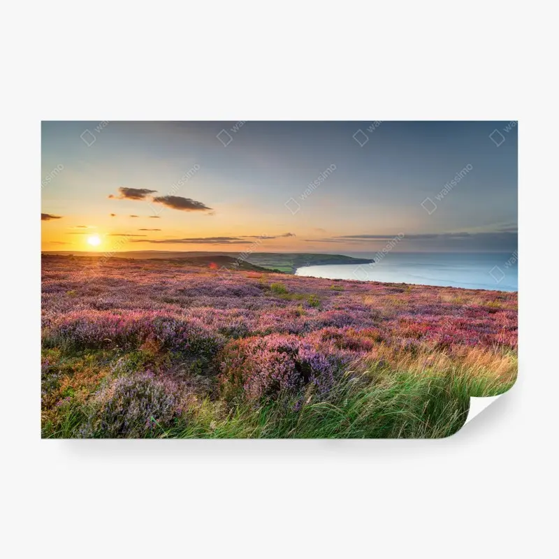 Fototapete sonnenuntergang über der heide auf den North York Moors
