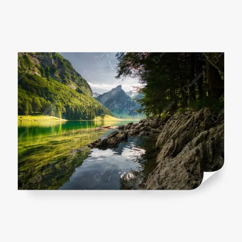 Fototapete ruhiger bergsee mit spiegelungen im wald