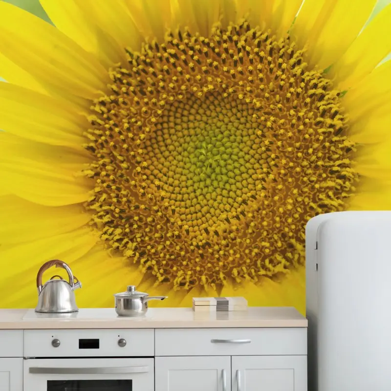 Fototapete leuchtende nahaufnahme sonnenblume