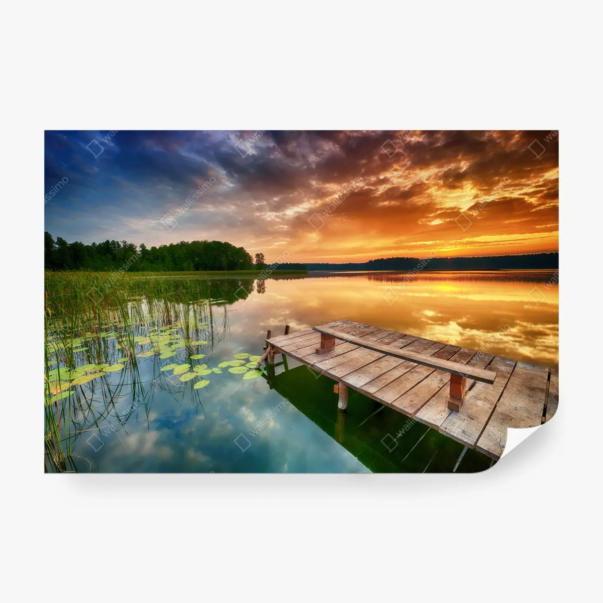Fototapete goldener sonnenaufgang über ruhigem see – Pixers®