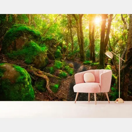 Fototapete sonniger pfad im regenwald der Tasman-Halbinsel, Tasmanien – Pixers®