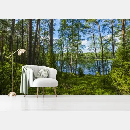 Fototapete ruhiger kiefernwald am see – Pixers®