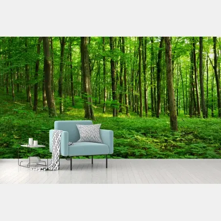 Fototapete sonniger grüner wald im frühling – Pixers®