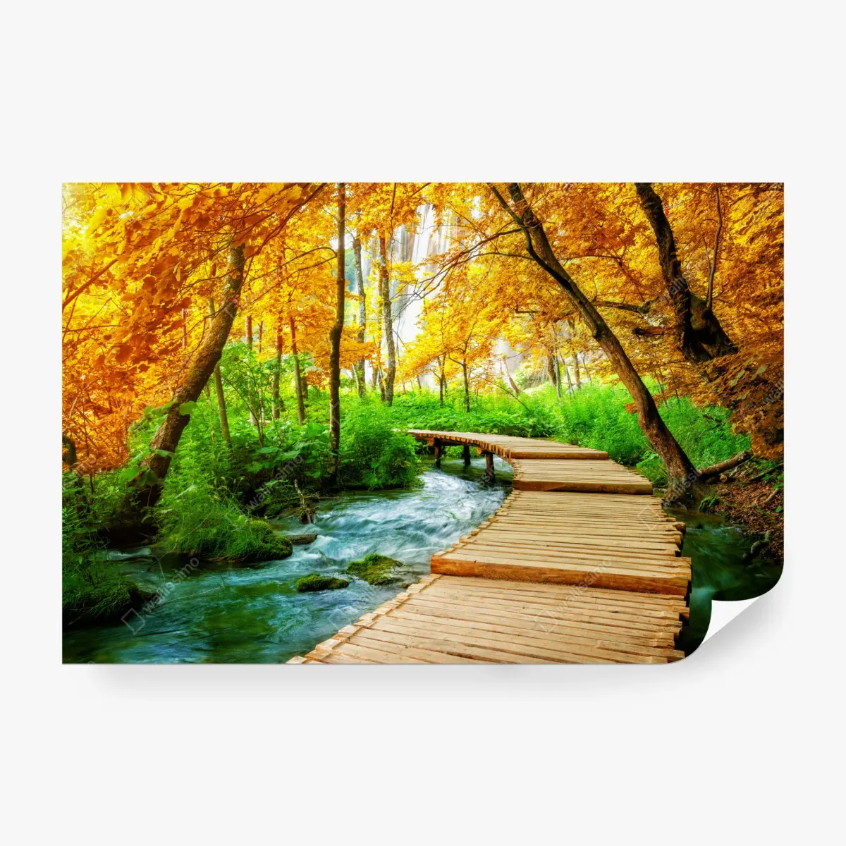 Fototapete goldener steg durch den wald bei Plitvicer Seen – Pixers®