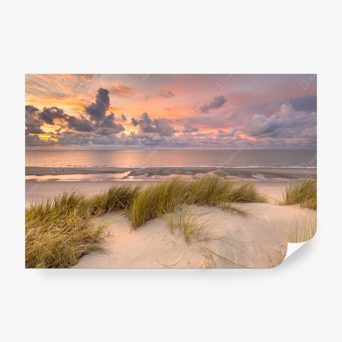Fototapete sonnenuntergang über dünen in Zeeland – Pixers®